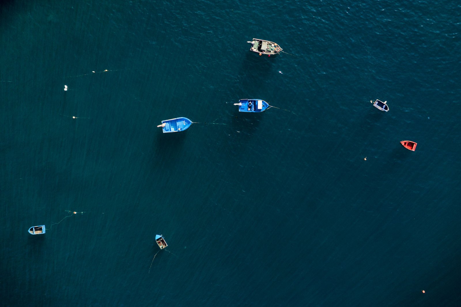 Small fishermen boat in Camara de Lobos