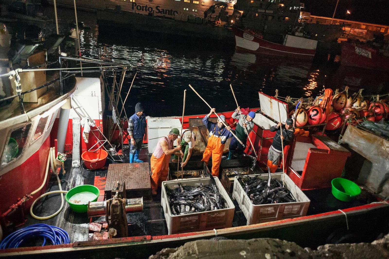 Fishermen unload a catch of black scabbard fish in harbour of Funchal at night