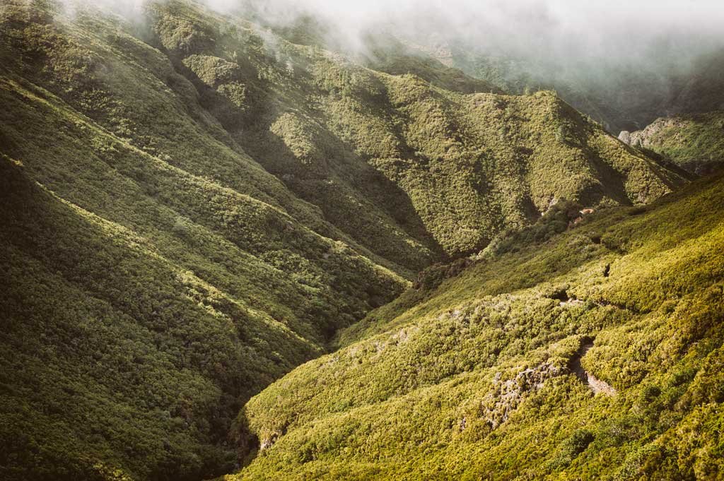 Inaccessible green mountains