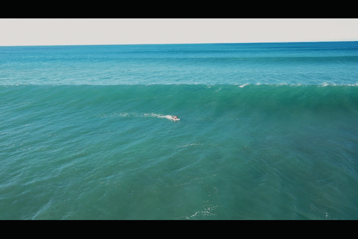 surfer falls
