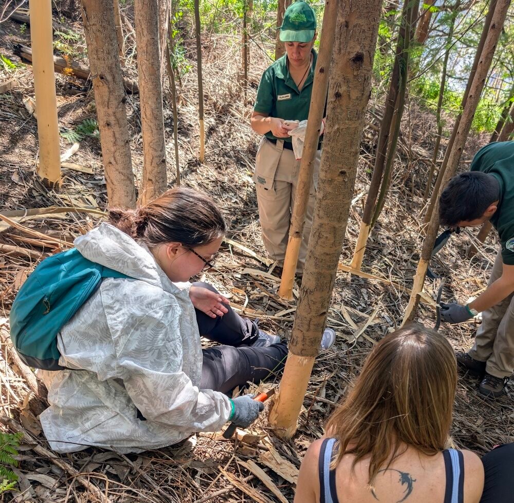 PXL_20250526_110539738-4