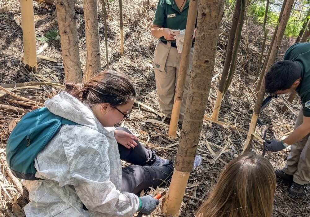 PXL_20250526_110539738-4